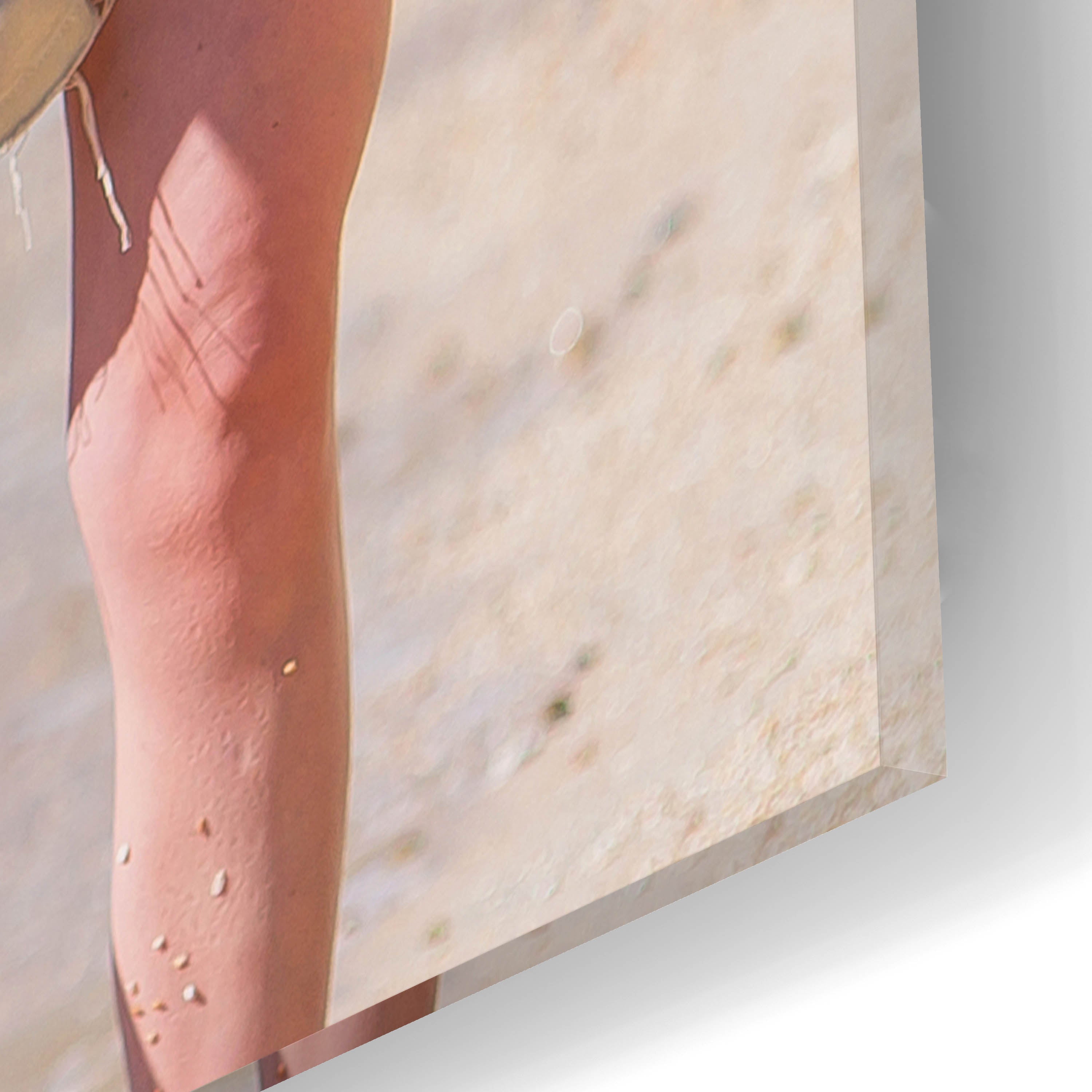 Your Photo or Image Printed on Custom Acrylic Wall Art, 12"x16"