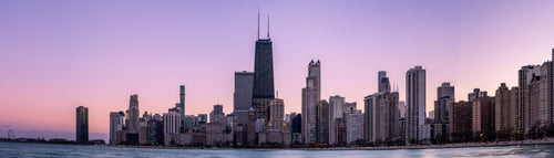 Chicago - North Avenue Magenta